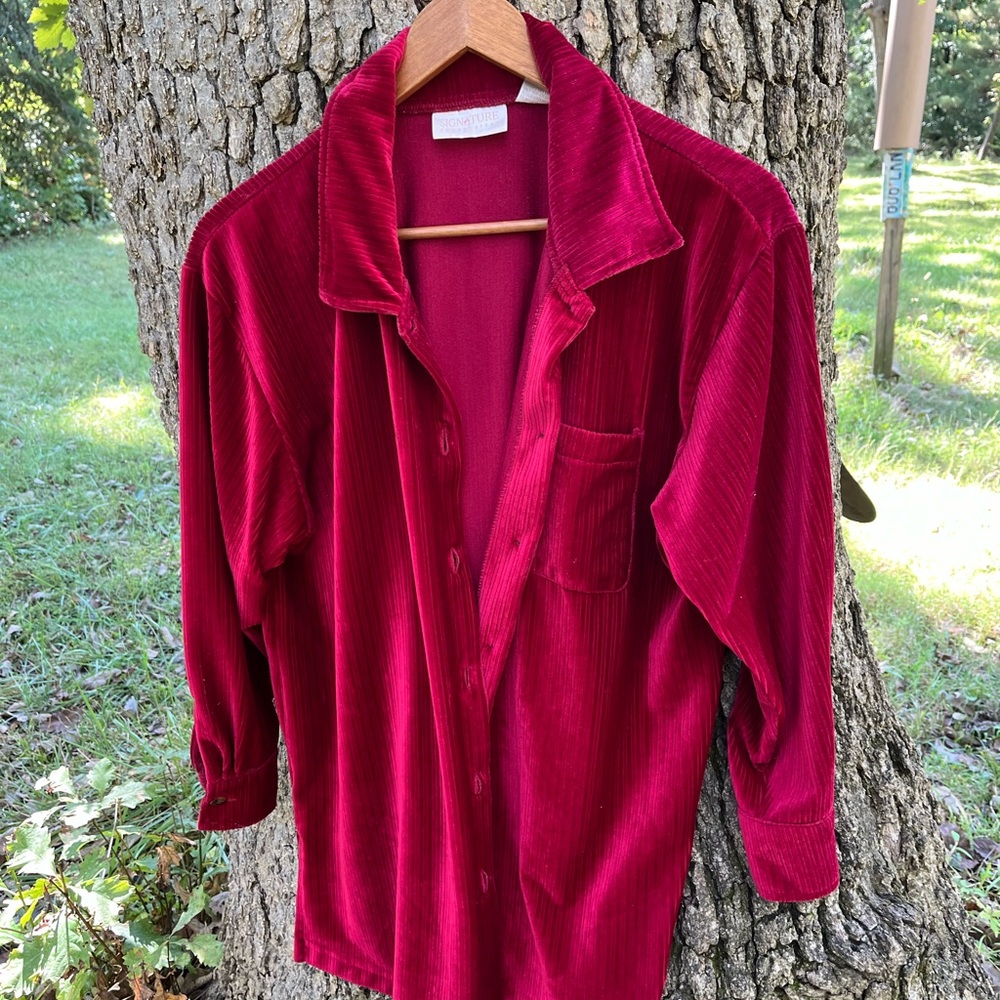 Signature Expressions Velour Blouse in size MP